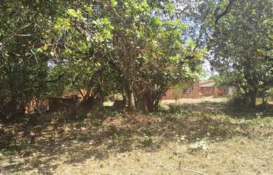 Imagem: O terreno possui 1000m² de Área e está localizado em Roseiral