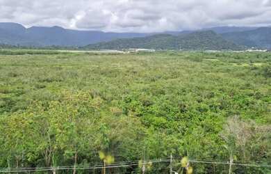 Imagem 6: Imóvel para aluguel tem 82 metros quadrados com 2 quartos