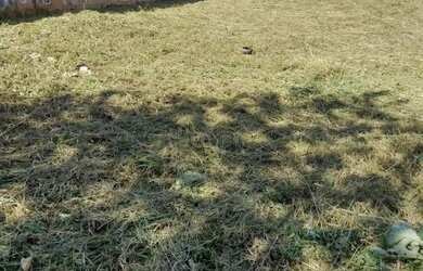 Imagem 4: Terreno à venda em Indaiatuba, Terras de Itaici, com 1000 m², Terras...