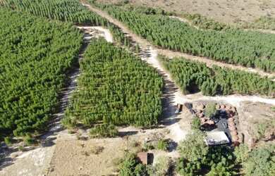 Imagem: A fazenda possui 187m² de Área e está localizado em Centro