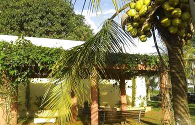 Imagem: A fazenda possui 6m² de Área e está localizado em Centro