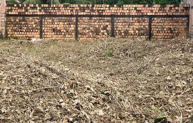 Imagem 3: Venda de Terreno. 