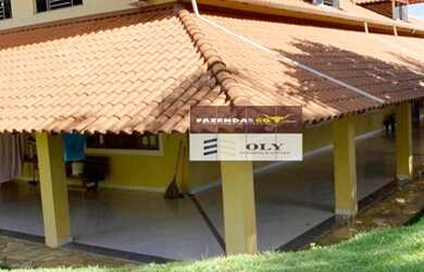 Imagem 15: Sítio Premium no município Inhumas-Goiás. 54 km de Goiânia. 35 Hectares