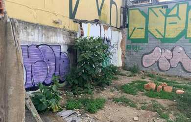 Imagem 5: Lote/Terreno para aluguel e venda possui 340 metros quadrados em Quinta...