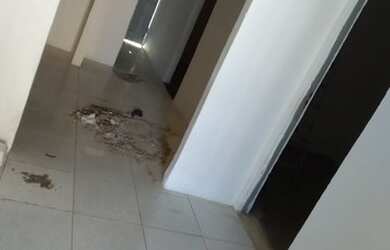 Imagem 5: VENDO CASA NO SANTA MARIA