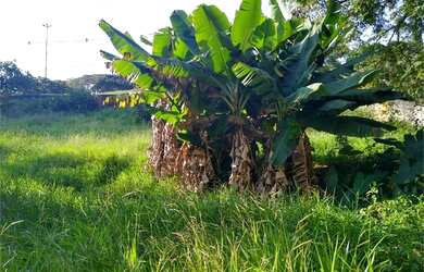 Imagem 3: Lote/Terreno para venda com 770 metros quadrados em Alto de Pinheiros...