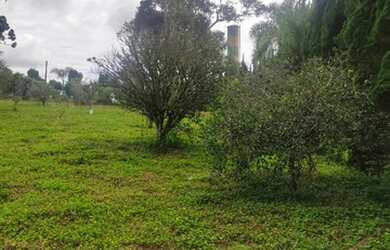 Imagem 12: Lote/Terreno para venda tem 1000 metros quadrados