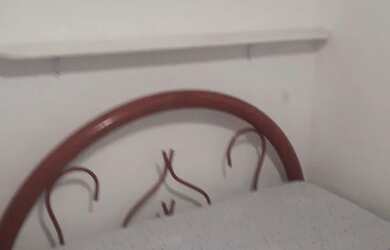 Imagem 12: Maravilhosa casa a 80 metros da praia Martim de Sá