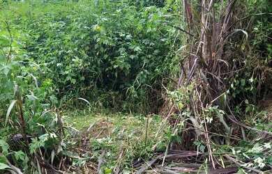 Imagem 1: Terreno 5x25 Jardim Marcelo Itaquaquecetuba