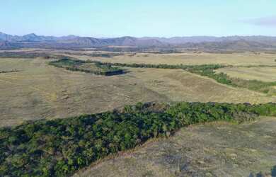 Imagem 5: Fazenda 113 alq Município de Niquelandia-Goiás