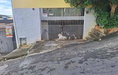 Imagem: A casae possui 2 Dormitórios, 2 Banheiros, 5 Vagas na garagem