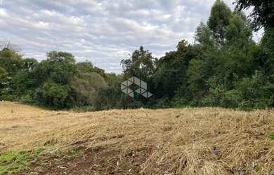 Imagem 5: Chácara com casa e ótimo aproveitamento