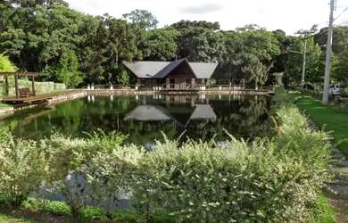 Imagem 13: Terreno - Bairro Mato Queimado