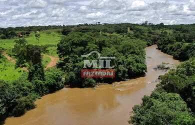 Imagem 6: Beira Rio - Chácara 1.36 alqueires 66.000 metros Santa Cruz de Goiás