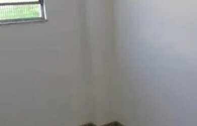 Imagem 10: Apartamento para Venda em São Gonçalo, Centro, 2 dormitórios, 1 banheiro,...