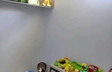 Imagem 13: Apartamento Padrão , com 2 quartos e 2 banheiros à Venda, 67 m² em...