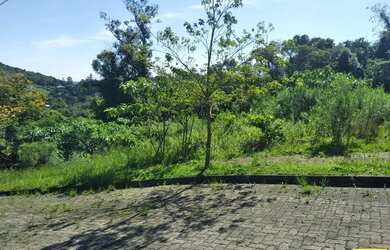 Imagem 4: Terreno para Venda em Nova Petrópolis, Linha Imperial