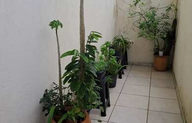 Imagem 14: Alugo lindo apartamento pertinho do mar, por dia por dia