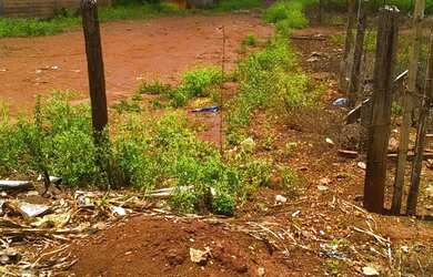 Imagem: O terreno possui 448m² de Área e está localizado em Serrana