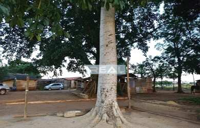 Imagem 15: Terreno à venda, 121240 m² por R$ 12.124.000,00 - João Aranha - Paulínia/SP