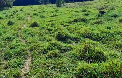 Imagem 15: Fazenda/Sítio/Chácara para venda tem 570000 metros quadrados em Zona...