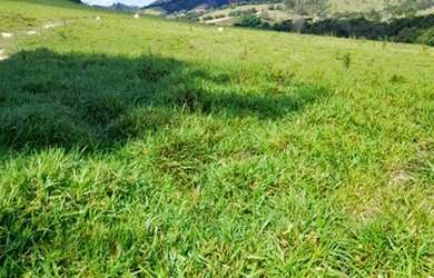 Imagem 14: Fazenda/Sítio/Chácara para venda tem 570000 metros quadrados em Zona...