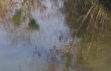 Imagem: A fazenda possui 200m² de Área e está localizado em Centro