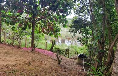 Imagem 9: Sítio. Churrasqueirae27.000m² de Área