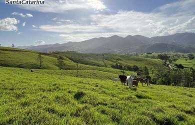 Imagem 11: Terreno à venda, 20000 m² por R$ 150.000 - Fazenda Paraíso - Imaruí/SC