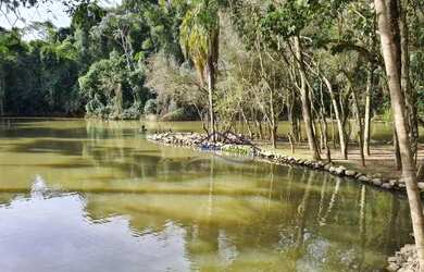 Imagem 14: GRANJA VIANA - SÃO PAULO II