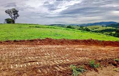 Imagem 7: Lote/Terreno para venda possui 500 metros quadrados em Jardim Imperial...