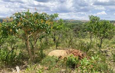 Imagem: A chácara possui 1000m² de Área e está localizado em Colégio