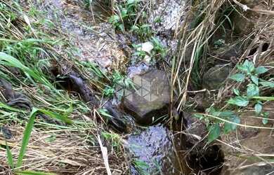 Imagem 16: Chácara com casa e ótimo aproveitamento