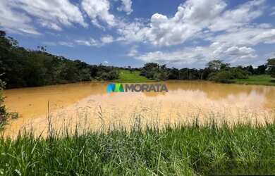 Imagem 9: FAZENDA À VENDA - 273 HECTARES - TRÊS MARIAS MG