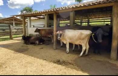 Imagem: A fazenda possui 120.000m² de Área e está localizado em