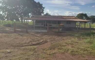 Imagem 9: Fazenda à venda, m² por R$ 100.000.000 - Zona Rural - Bom Jardim de...