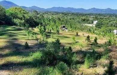 Imagem: O terreno possui 9.090m² de Área e está localizado em Canasvieiras