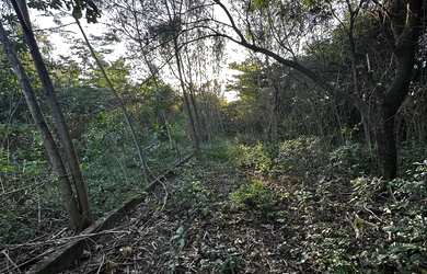 Imagem 3: Área a venda na Zona Oeste -53.000 m² Estrada de Sepetiba Santa Cruz/RJ