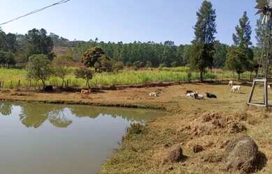 Imagem 9: Vende-se bela fazendinha em Congonhas