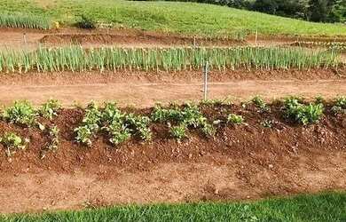 Imagem 9: TERRENO 360m² À VENDA - JARDIM VENEZA - SENADOR CANEDO-GO