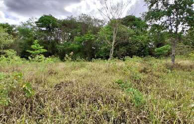 Imagem 2: TERRENO RURAL 5.264 m² - / ANTÔNIO OLINTO - MONTES CLAROS MG