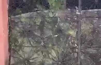 Imagem: A casa possui 2 Dormitórios, 1 Banheiro, 63m² de Área e