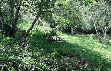 Imagem 16: Terreno à venda, 600 m² por R$ 240.000,00 - Varginha - Nova Friburgo/RJ