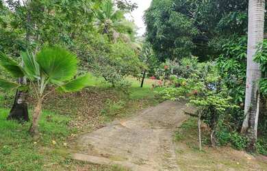 Imagem 12: Sítio. Churrasqueirae27.000m² de Área