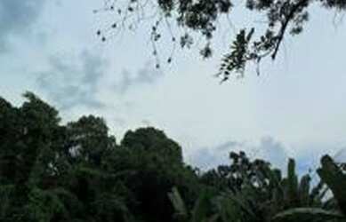 Imagem 6: Área para venda 3413 metros quadrados em Nova Cidade - São Gonçalo...