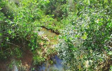 Imagem: A fazenda possui 343m² de Área e está localizado em Centro