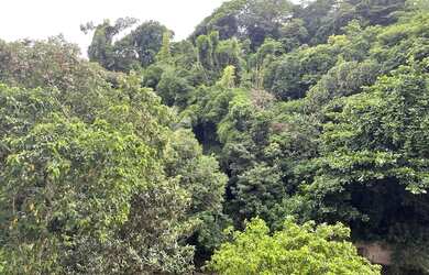 Imagem 3: Incrível Conjugadão Silencioso na Rua do Riachuelo -Centro - Rio de...