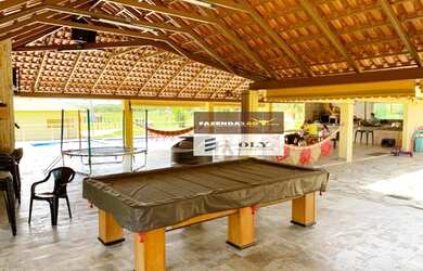 Imagem 10: Sítio Premium no município Inhumas-Goiás. 54 km de Goiânia. 35 Hectares