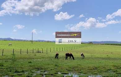 Imagem 8: Sítio Premium no município Inhumas-Goiás. 54 km de Goiânia. 35 Hectares