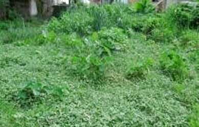 Imagem 11: Área para venda 3413 metros quadrados em Nova Cidade - São Gonçalo...